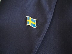 spilla da giacca con bandiera svedese smaltata